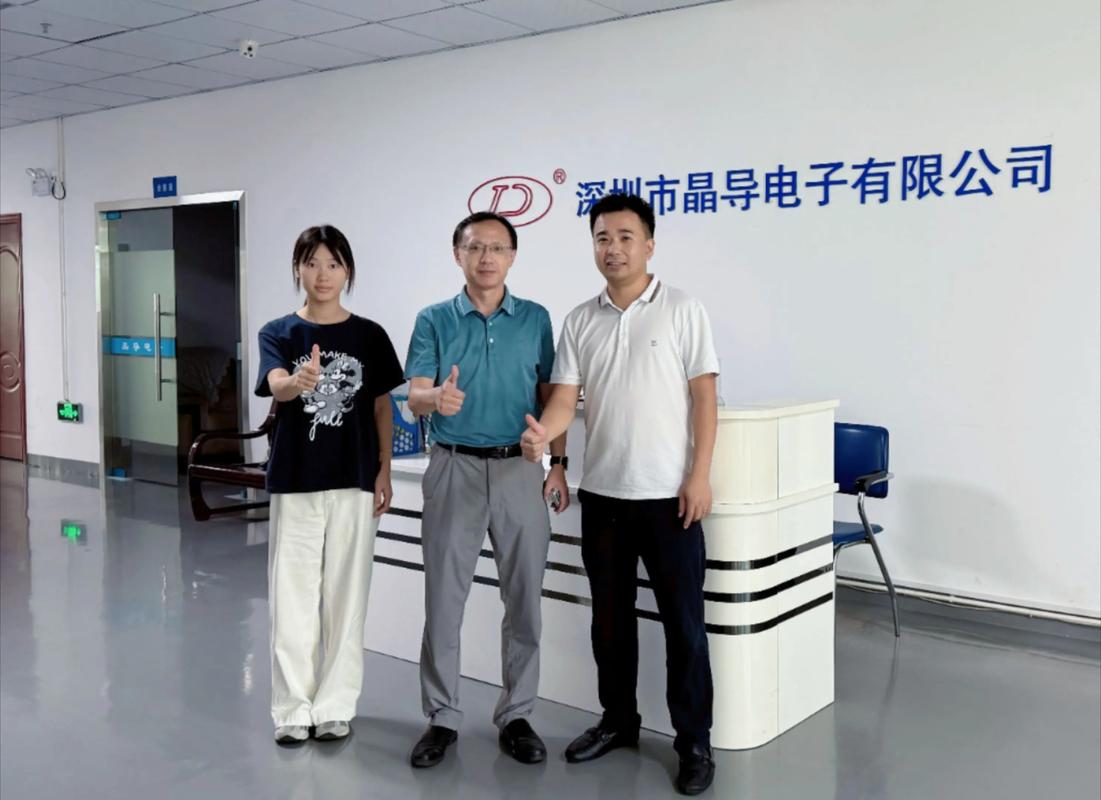 探访国家级“小巨人”晶导电子 深耕电源IC与半导体分立器件的创新之路